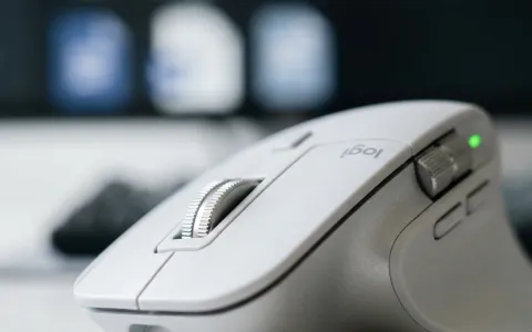 Digitaler Downloadbereich für Mandanten